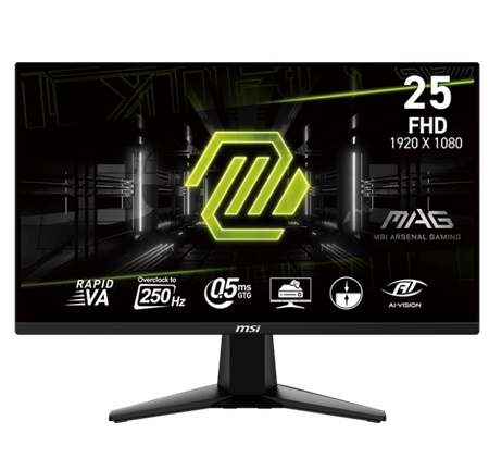 MONITOR MSI 24.5" 255XFV 1920 X 1080 250HZ 9S6-3BC21M-004