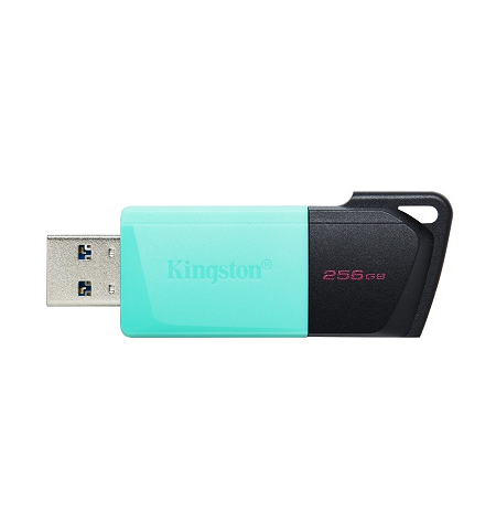 MEMORIA USB KINGSTON DATATRAVELER EXODIA M 256GB DTXM/256GB 